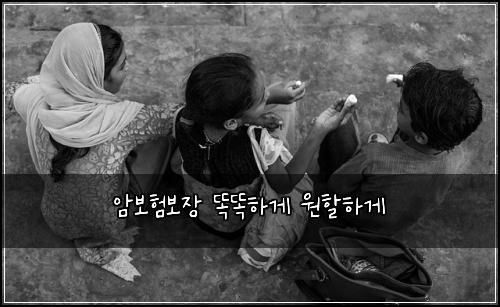 암보험보장 똑똑하게 원할하게