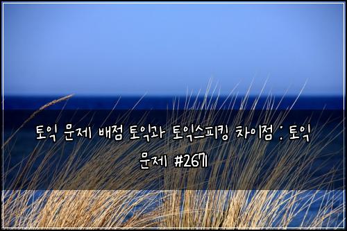 토익 문제 배점 토익과 토익스피킹 차이점 : 토익 문제 #2671