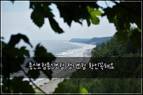 종신보험종신보험 정기보험 확인꼭해요