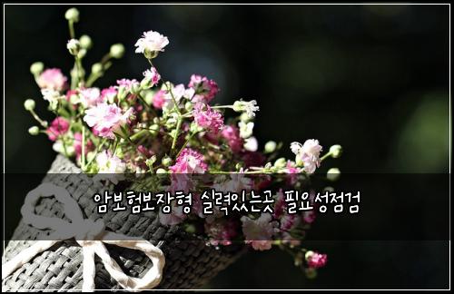 ์๋ณดํ๋ณด์ฅํ ์ค๋ ฅ์๋๊ณณ ํ์์ฑ์ ๊ฒ