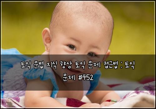토익 문법 지식 향상 토익 문제 접근법 : 토익 문제 #452