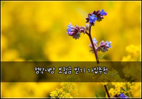 ์ ๋ง๋ด์ ๋ณดํ๊ธ ๋ฐ๊ธฐ ๊ฐ์
์ถ์ฒ