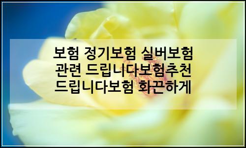 오늘의 이미지