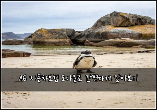  A6 자동차보험 모바일로 간편하게 알아보기