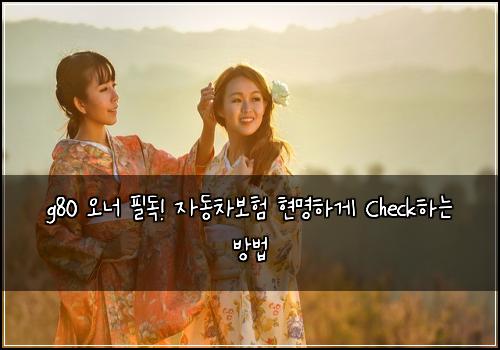 g80 오너 필독! 자동차보험 현명하게 Check하는 방법