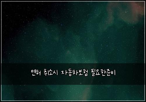 ๋ฉดํ ์ทจ์์ ์๋์ฐจ๋ณดํ ํ์ํ์ค๋น