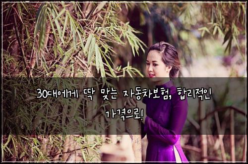 30대에게 딱 맞는 자동차보험, 합리적인 가격으로!