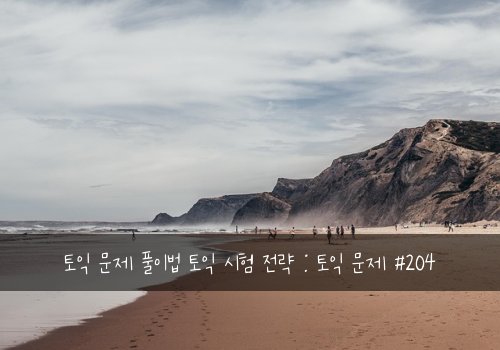 토익 문제 풀이법 토익 시험 전략 : 토익 문제 #204