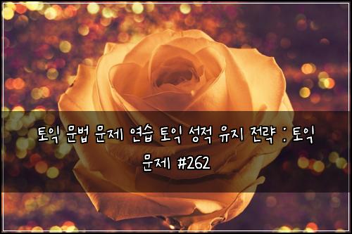 토익 문법 문제 연습 토익 성적 유지 전략 : 토익 문제 #262