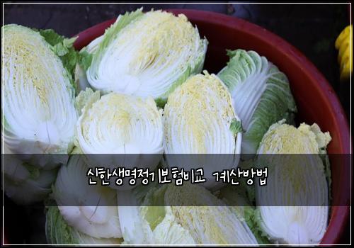 ์ ํ์๋ช
์ ๊ธฐ๋ณดํ๋น๊ต ๊ณ์ฐ๋ฐฉ๋ฒ