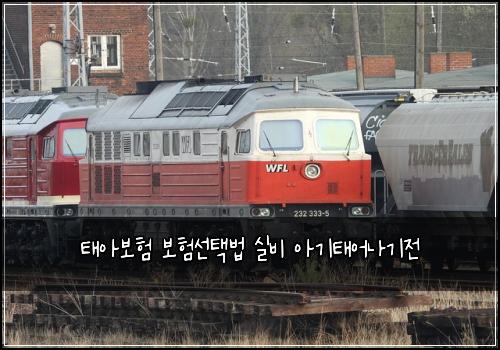 태아보험 보험선택법  실비 아기태어나기전