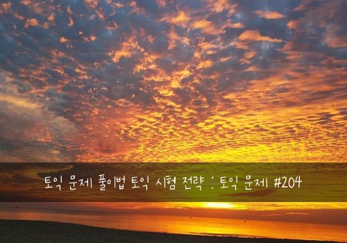 토익 문제 풀이법 토익 시험 전략 : 토익 문제 #204