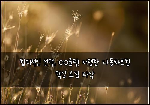  합리적인 선택, OO클릭! 저렴한 자동차보험 핵심 요점 파악