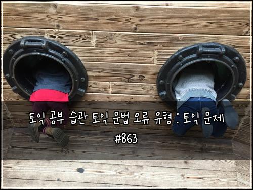 토익 공부 습관 토익 문법 오류 유형 : 토익 문제 #863
