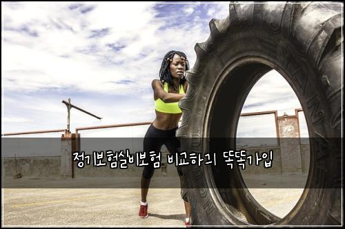 정기보험실비보험 비교하긔 똑똑가입