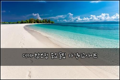 더케이암보험 중요꿀팁  가격비교사이트