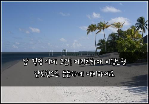  암 걱정 이제 그만! 메리츠화재 비갱신형 암보험으로 든든하게 대비하세요