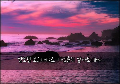 ์๋ณดํ ๋ณด๊ณ ๊ฐ์ผ์ฃ ๊ฐ์
์์ ์์๋ณด๊ธฐttj
