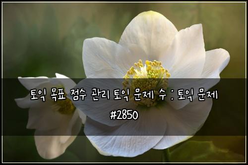 토익 목표 점수 관리 토익 문제 수 : 토익 문제 #2850