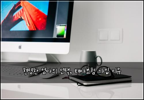 현명한 엄마의 선택, 태아보험 가입 이유