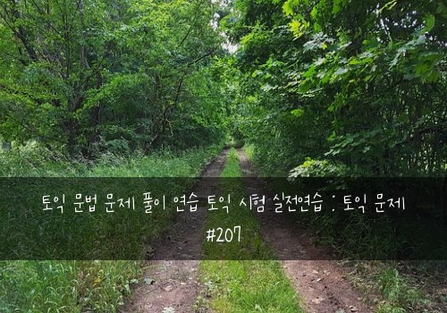 토익 문법 문제 풀이 연습 토익 시험 실전연습 : 토익 문제 #207