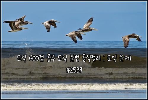 ํ ์ต 600์ ๊ณต๋ถ ํ ์ต ๋ฌธ๋ฒ ๊ณต์์ ๋ฆฌ : ํ ์ต ๋ฌธ์ #2539
