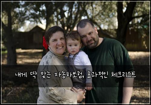  내게 딱 맞는 자동차보험, 효과적인 체크리스트