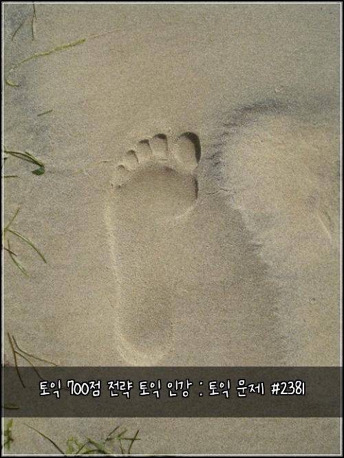 토익 700점 전략 토익 인강 : 토익 문제 #2381