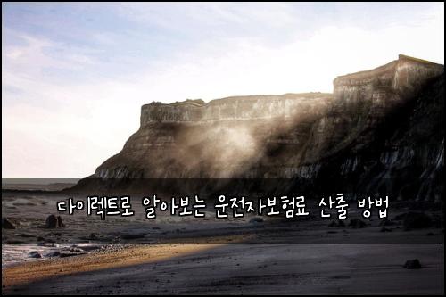 다이렉트로 알아보는 운전자보험료 산출 방법