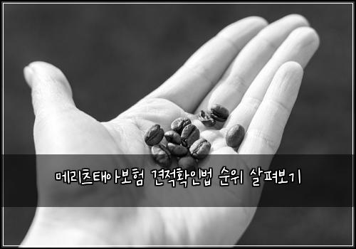 ๋ฉ๋ฆฌ์ธ ํ์๋ณดํ ๊ฒฌ์ ํ์ธ๋ฒ ์์ ์ดํด๋ณด๊ธฐ