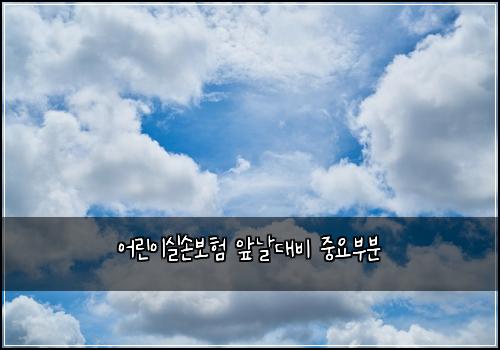 ์ด๋ฆฐ์ด์ค์๋ณดํ ์๋ ๋๋น ์ค์๋ถ๋ถ