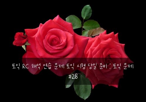 토익 RC 해석 연습 문제 토익 시험 당일 준비 : 토익 문제 #218