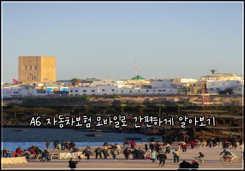  A6 자동차보험 모바일로 간편하게 알아보기