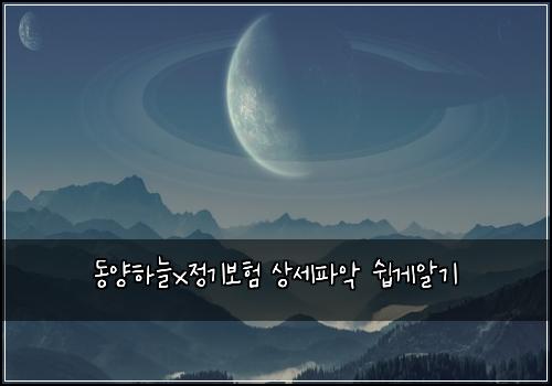 동양하늘x정기보험 상세파악  쉽게알기