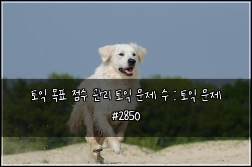토익 목표 점수 관리 토익 문제 수 : 토익 문제 #2850
