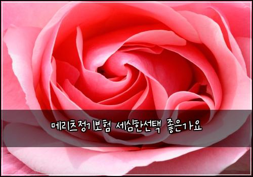 ๋ฉ๋ฆฌ์ธ ์ ๊ธฐ๋ณดํ ์ธ์ฌํ์ ํ ์ข์๊ฐ์