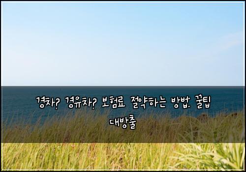 경차🚗 경유차💨 보험료 절약하는 방법: 꿀팁 대방출