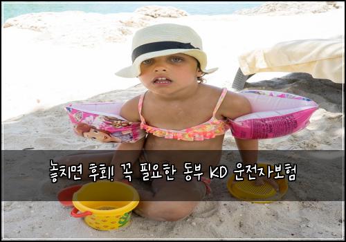  놓치면 후회! 꼭 필요한 동부 KD 운전자보험