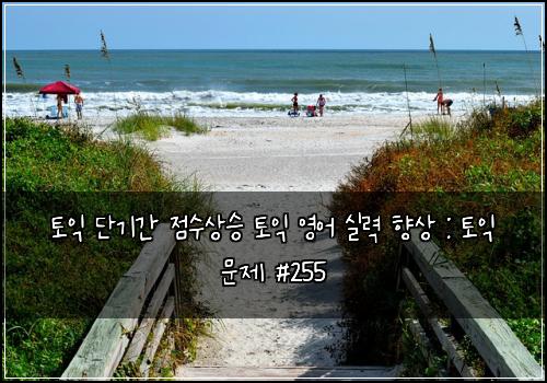 토익 단기간 점수상승 토익 영어 실력 향상 : 토익 문제 #255