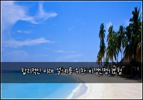  합리적인 미래 설계를 위한 비갱신정기보험