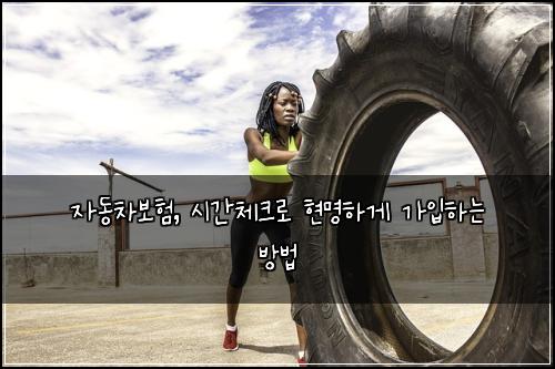 자동차보험, 시간체크로 현명하게 가입하는 방법