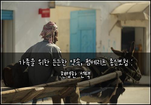 가족을 위한 든든한 약속, 펌메리츠 종신보험 : 현명한 선택