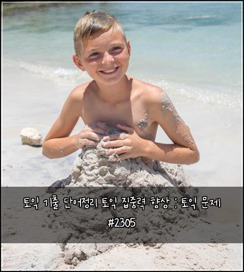 토익 기출 단어정리 토익 집중력 향상 : 토익 문제 #2305