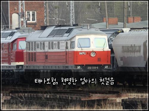 태아보험, 현명한 엄마의 첫걸음