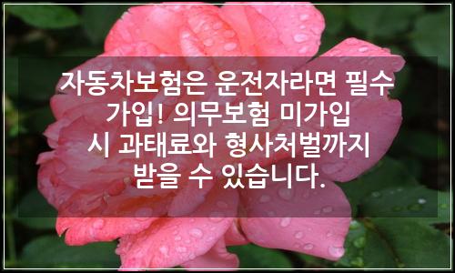 오늘의 이미지