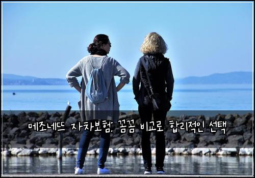 메조네뜨 자차보험: 꼼꼼 비교로 합리적인 선택