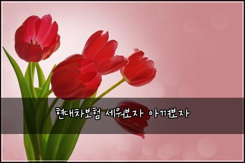 현대차보험 세워보자  아껴보자