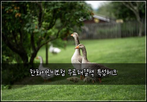 ํํ์ด๋ฆฐ์ด๋ณดํ ๋ฌด๋ฃํด๊ฒฐ์ฑ
ํน์ฑ์ฒดํฌ