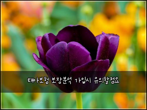 ํ์๋ณดํ ๋ณด์ฅ๋ถ์ ๊ฐ์
์ ์ ์ํ ์ ์