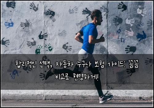  합리적인 선택, 자동차 누구나 보험 가이드: 꼼꼼 비교로 현명하게!